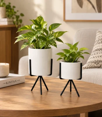 White Ceramic Planter with Black Tripod Stand - Set of 2