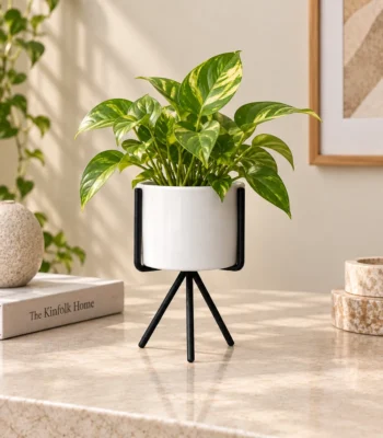 White Ceramic Planter with Black Tripod Stand - Small - Image 3