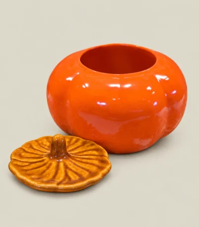 Pumpkin-Shaped Ceramic Salt & Spice Jar with Lid – Orange